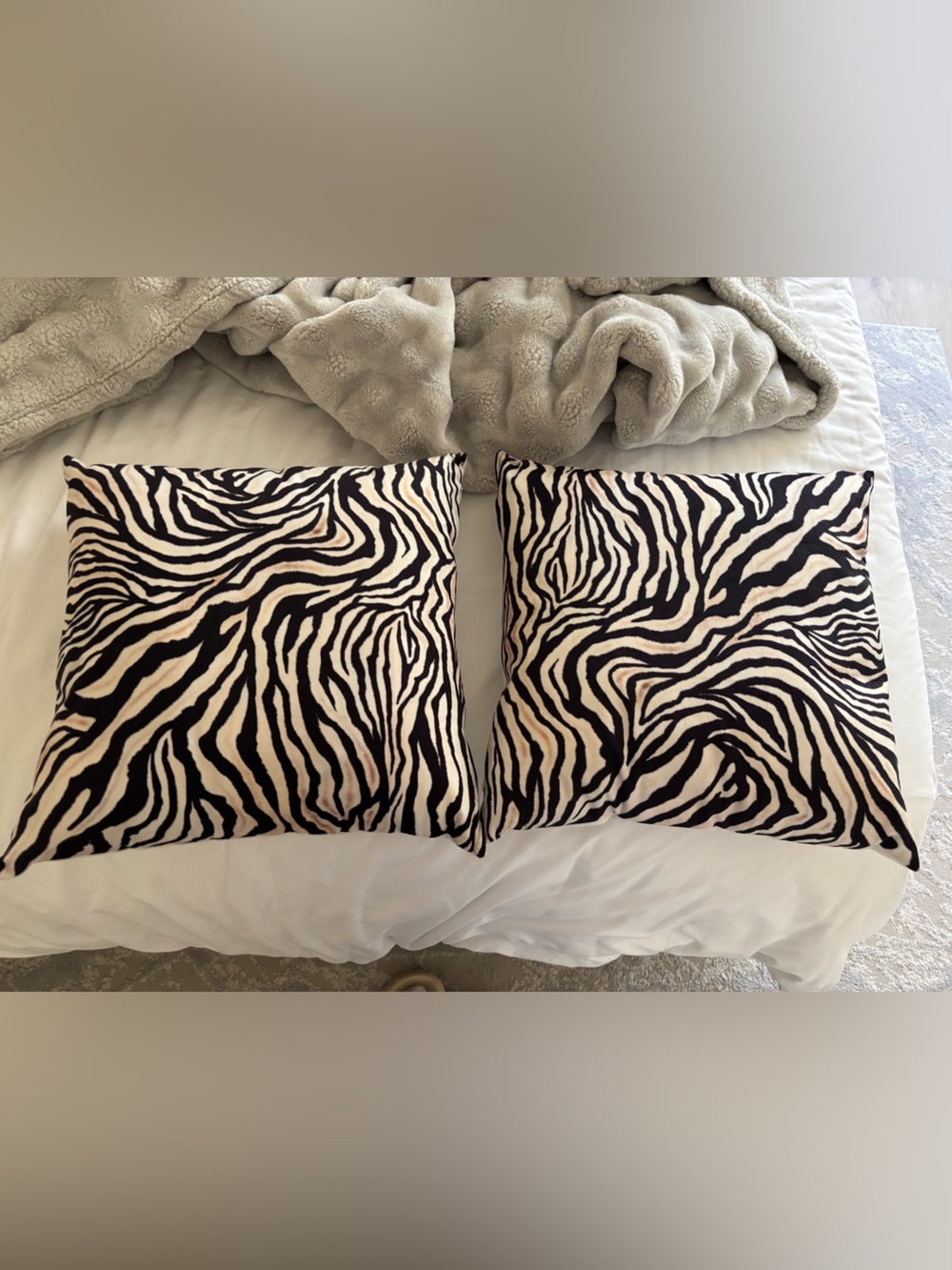18x18 Zebra Throw Pillows